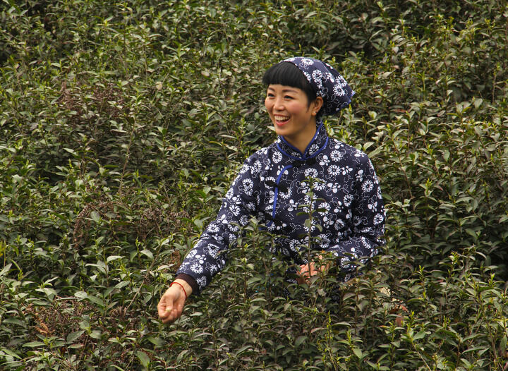 梦连直播热门6